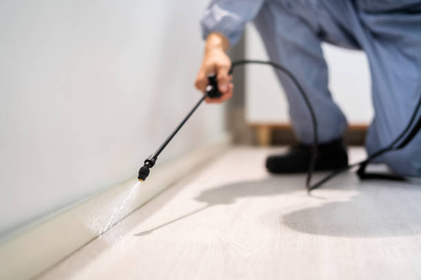 Licensed Pest Control service in Maywood Park, OR - Show Me Pest Control