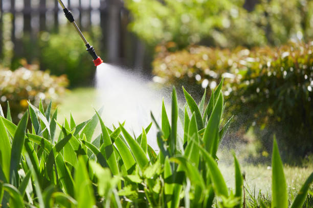 24/7 Emergency Mosquito Control experts in Maywood Park, OR