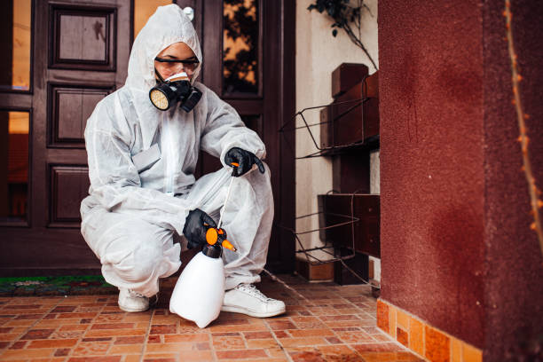 Reliable Mosquito Control contractor in Maywood Park, OR by Show Me Pest Control